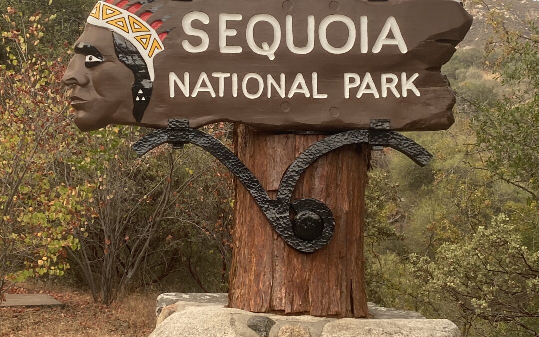 Sequoia National Park, California (June 2020)